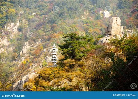 如何坐車去嶗山?嶗山的風景不僅吸引遊客的目光,更是歷史文化的寶庫。